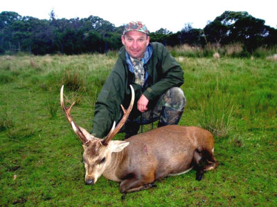 hog deer 2